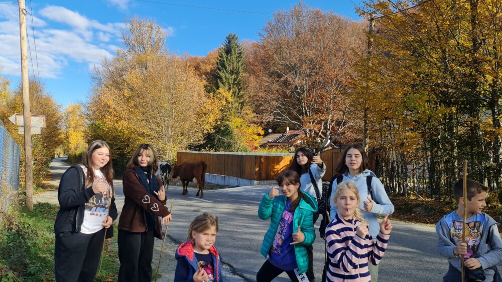 Tabără pentru copii Be You Club Brasov 2025